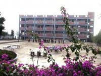 重庆市奉节县夔门街道新城小学