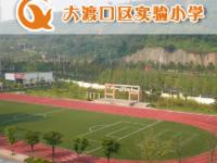 重庆大渡口区实验小学