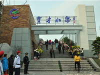 重庆市大渡口区育才小学 