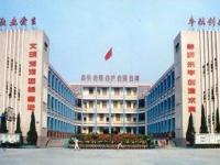 重庆市铜梁师范学校附属小学 