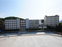 重庆市开县白桥镇上桥中心小学 