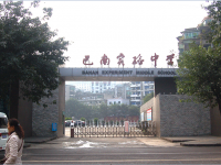 重庆市巴南实验中学校