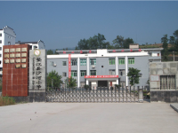 重庆市垫江县沙河小学校 