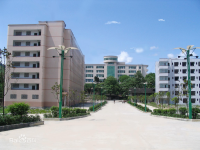 重庆市大足区双桥实验小学