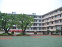 重庆市垫江县新民小学校 