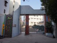 重庆市巴南区木洞镇中心小学校