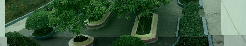 重庆市接龙中学校