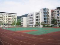 重庆市巴南区接龙镇中心小学校