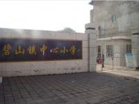 重庆市梁平县碧山镇中心小学