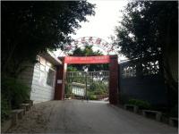 重庆市大渡口区民胜小学 