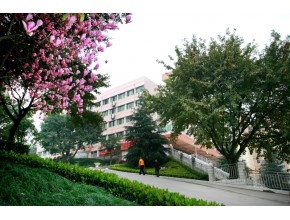 重庆市鱼洞中学校 花香校园