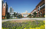 北部新区星光学校 朝阳中错落有致的校园