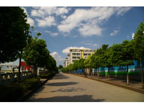 丰都县第二中学 笔直宽阔的校园大道