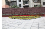 沙坪坝小学 道德仁艺浮雕墙