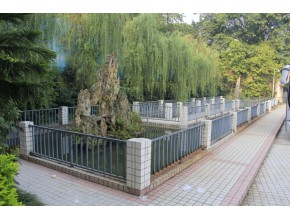 重庆市第四十八中学校 柳树成荫的鲤鱼池