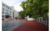 綦江区城南小学 郁郁葱葱的林荫大道