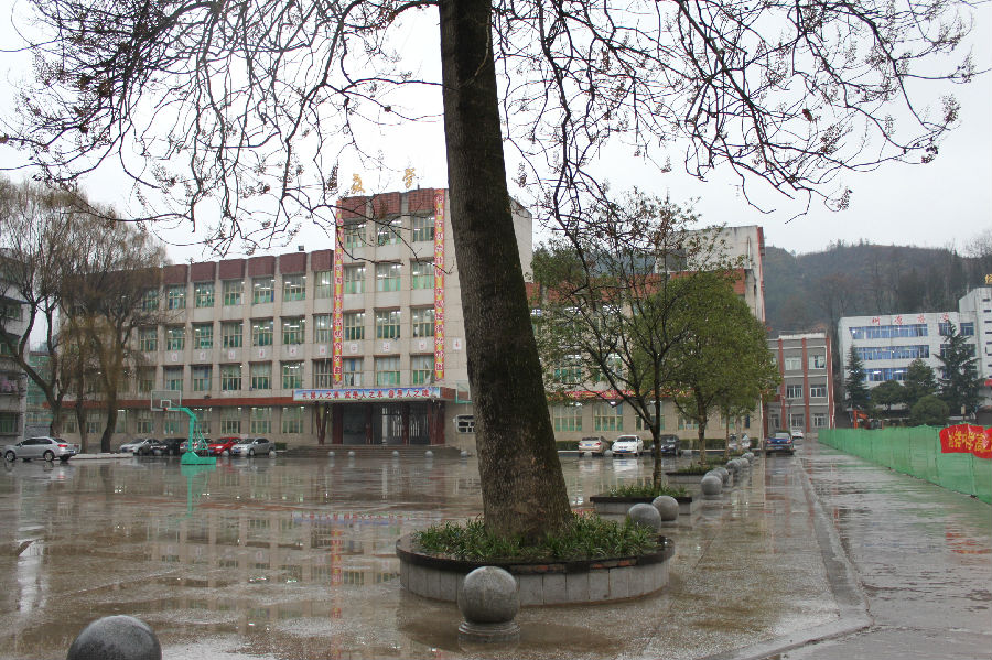 重庆奉节吐祥常住人口_重庆市奉节吐祥镇图片