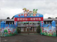 重庆市大足区宝兴镇中心幼儿园