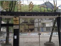 重庆市城口县蓼子乡第一中心小学