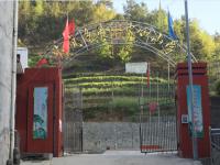 重庆市城口县左岚乡第一中心小学