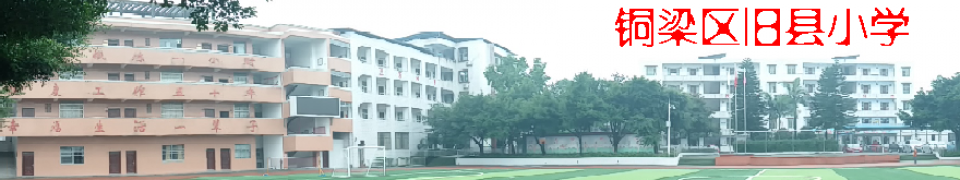 重庆市铜梁区旧县镇小学 