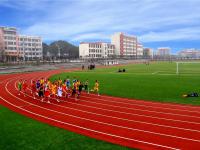 重庆市合川龙市中学