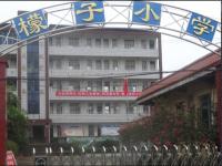 重庆市潼南区龙形镇檬子小学校