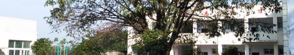 重庆市合川区大觉完全小学