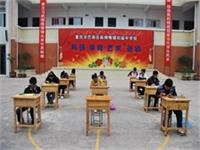 重庆市巴南区麻柳嘴镇初级中学校